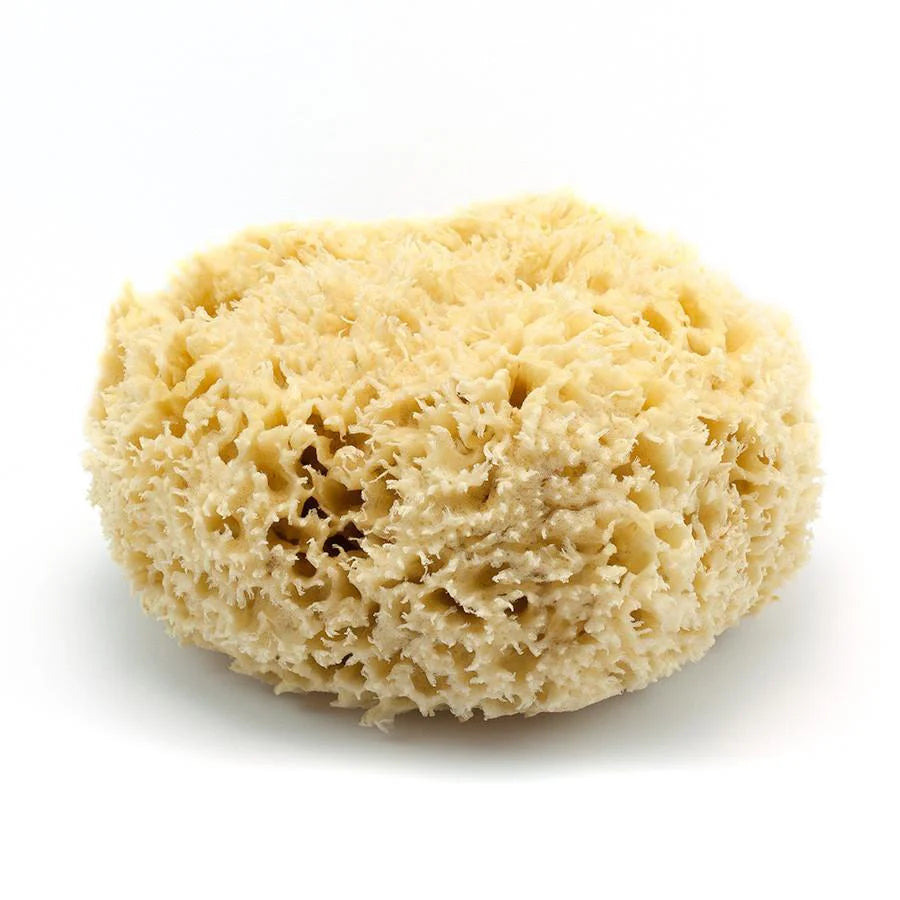 ORANA Sea Wool Sponge